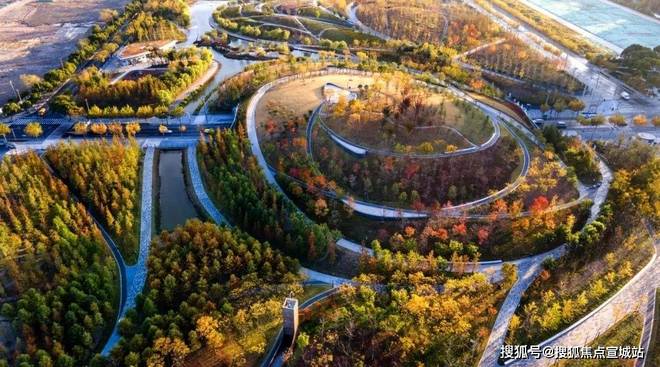 站发布)2025年房价_户型配套普陀金茂府售楼处(普陀金茂府网(图14)