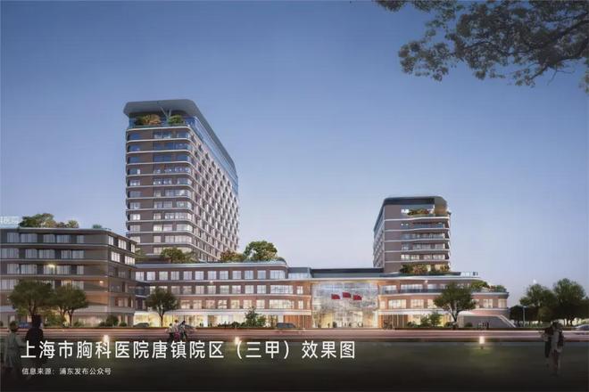 类一梯一户全屋飘窗叠加泳池会所保利天奕户型图官宣！全明梯厅(图2)