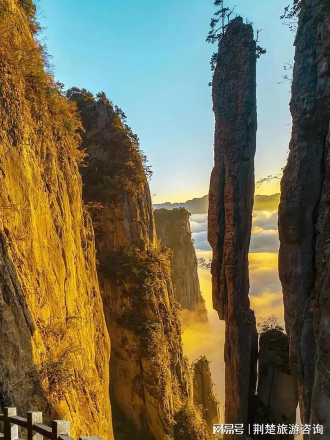 高 + 实力强靠谱推荐不踩坑！2025 